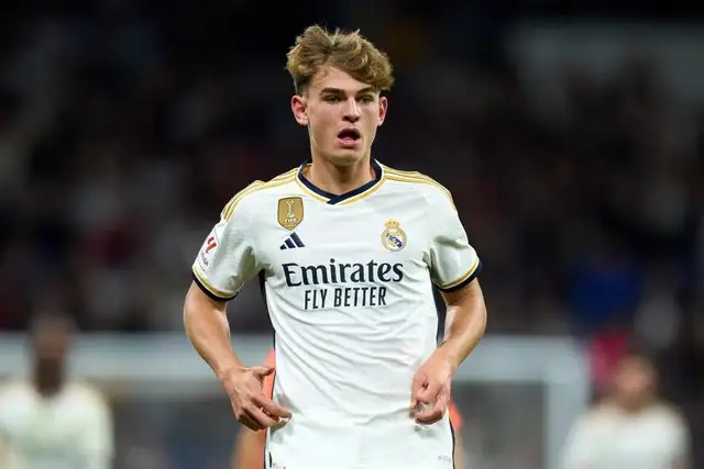 南野拓实的 南野拓实的