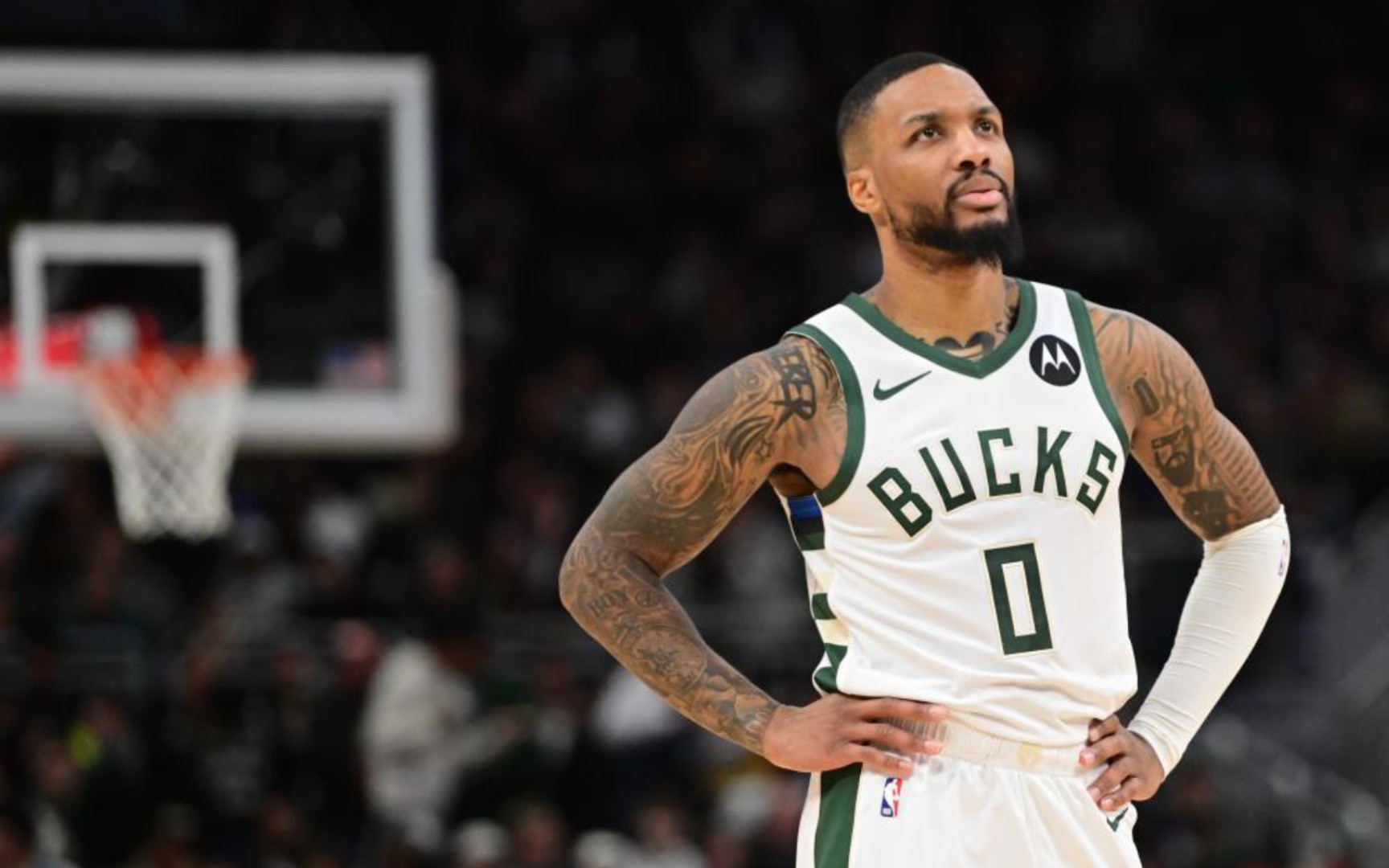 术体系的适 术体系的适