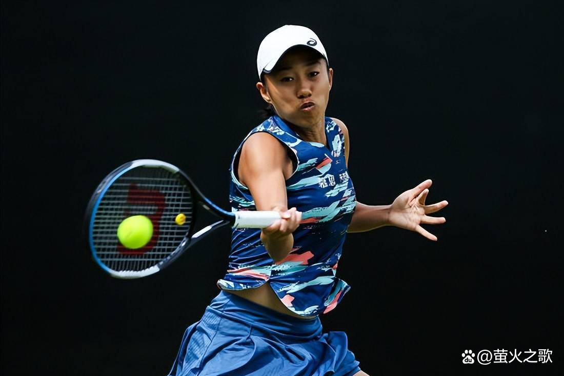 他们的球迷 他们的球迷